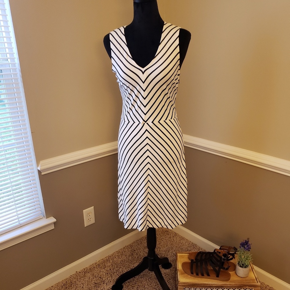 Banana Republic Chevron dress